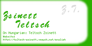 zsinett teltsch business card